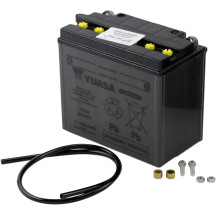Conventional Battery — 12 V