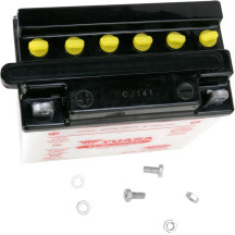 Conventional Battery — 12 V