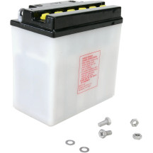 Conventional Battery — 12 V