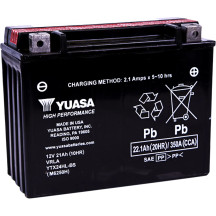 High Performance AGM Maintenance-Free Battery
