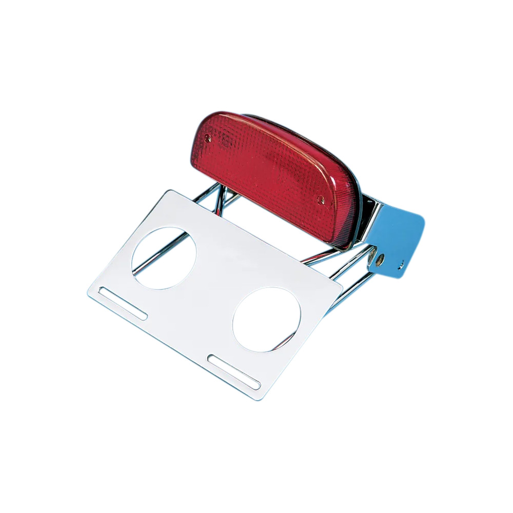 Custom Taillight and Chrome Bracket Assembly