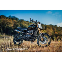 CARBON Handguards